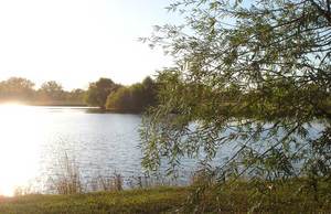 Camp Timber Lake Huntington In 1