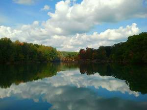Nelson Ledges Quarry Park Garrettsville Oh 1