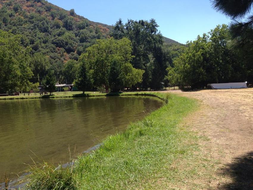 Kelly S Family Campground    Rv Park Upper Lake Ca 0