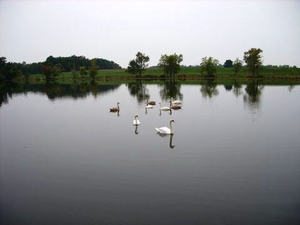 Lakeview Campground Rochester In 2