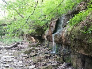 Muscatatuck County Park North Vernon In 2
