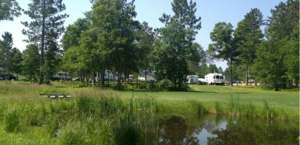Wildwedge Golf   Rv Park Pequot Lakes Mn 0