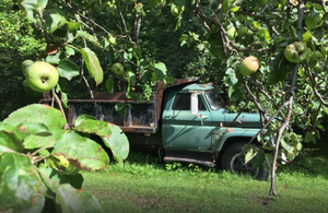 Apple Hill Campground Bethlehem Nh 3