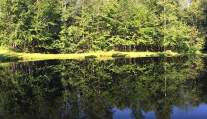 Apple Hill Campground Bethlehem Nh 4