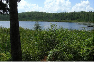 Mountain Lake Campground Lancaster Nh 3
