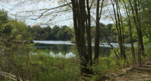 Scott S Cove Camping Area Alfred Me 1
