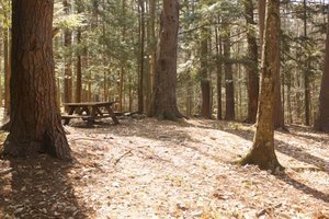 Owls Landing Campground Holderness Nh 1