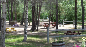 Woodland Acres Campground Brownfield Me 3
