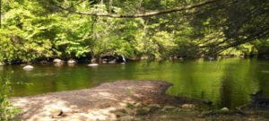 Nickerson Park Family Campground Chaplin Ct 1