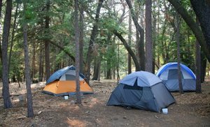 Atlantic City North Family Campground Tuckerton Nj 1