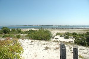 Bakers Acres Little Egg Harbor Nj 1