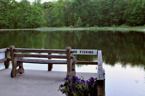 Camp Taylor Campground Columbia Nj 3