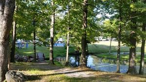 Fla Net Park Flanders Nj 2