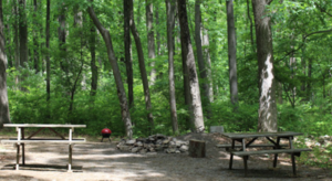 Mountainview Campground Milford Nj 1