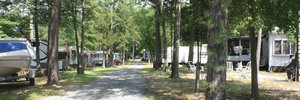 Sea Pirate Campground West Creek Nj 2