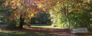 Country Village Campground Leicester Vt 2