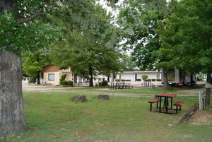 Willow Tree Rv Park Branson Mo 3