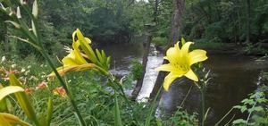 Whispering Waters Campground Hastings Mi 2