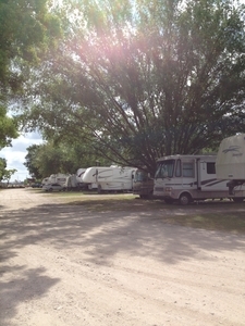 Safari Rv Park League City Tx 5