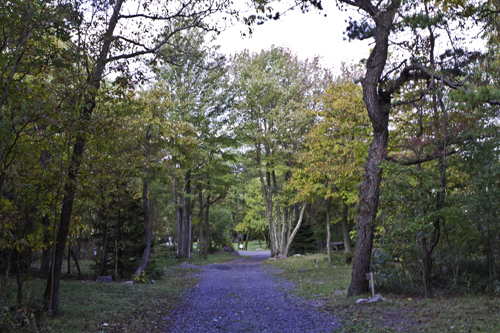 Peaceful Woodlands Family Campground Blakeslee Pa 0