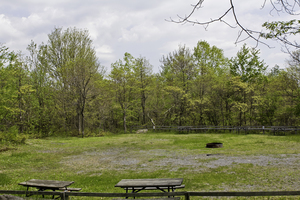 Peaceful Woodlands Family Campground Blakeslee Pa 1