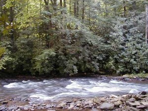 Lazy J Campground Rosman Nc 3