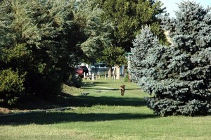 Pierce Rv Park Williamston Nc 2