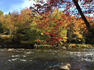Singing Waters Camping Resort Tuckasegee Nc 2