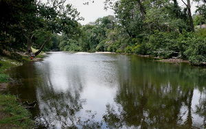 Spruce Pine Campground Spruce Pine Nc 1