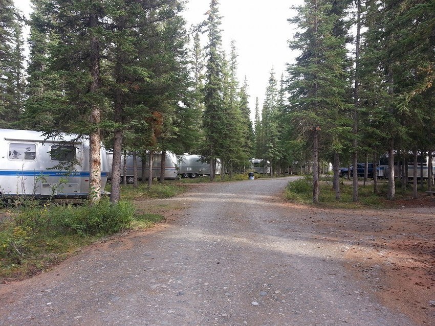 Tundra Lodge   Rv Park Tok Ak 2