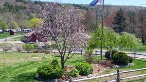 Charlie Brown Campground Eastford Ct 2