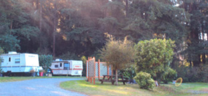Azalea Glen Rv Park   Campgrounds Trinidad Ca 1