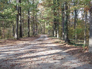 Bartee Meadow Hot Springs Ar 1
