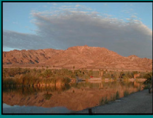 Bashfords Hot Mineral Spa Niland Ca 2