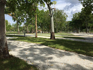 Sanctuary Rv Resort Bonita Springs Fl 4
