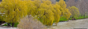 Heise Hot Springs Rv Camp Ririe Id 5