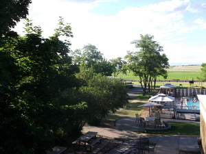 Koa June 2013 002