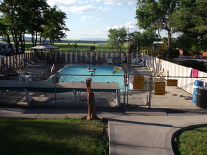 Koa June 2013 021