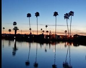 Roadrunner Lake Resort  55  Park  Scottsdale Az 2