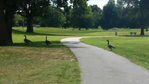 The Creeks Golf   Rv Resort Cave Springs Ar 2