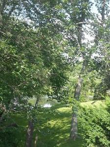 Mineral Springs Family Campground Stafford Springs Ct 2