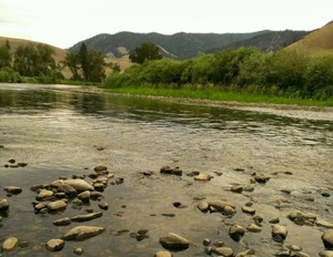 Wagonhammer Rv Park   Campground North Fork Id 7