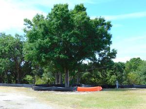 Bay Bayou Rv Resort Tampa Fl 3