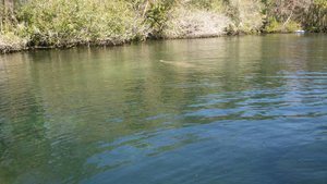 Chassahowitzka River Campground Chassahowitzka Fl 1