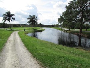 Clerbrook Golf Rv Resort Clermont Fl 2