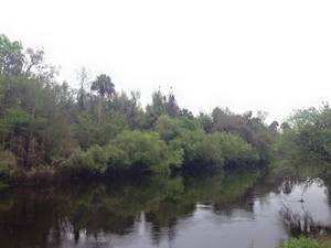 Florida Skp Resort Wauchula Fl 2