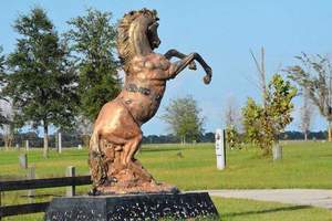 Goethe Trailhead Ranch Dunnellon Fl 2