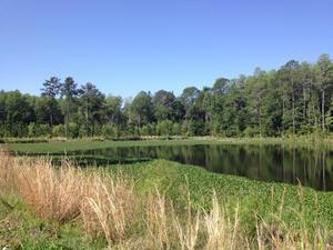 In   Out Rv Park Lake City Fl 2