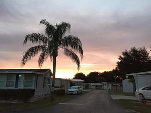 Leisure Days Rv Resort  55  Park  Zephyrhills Fl 2