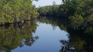 Newport Campground Crawfordville Fl 1